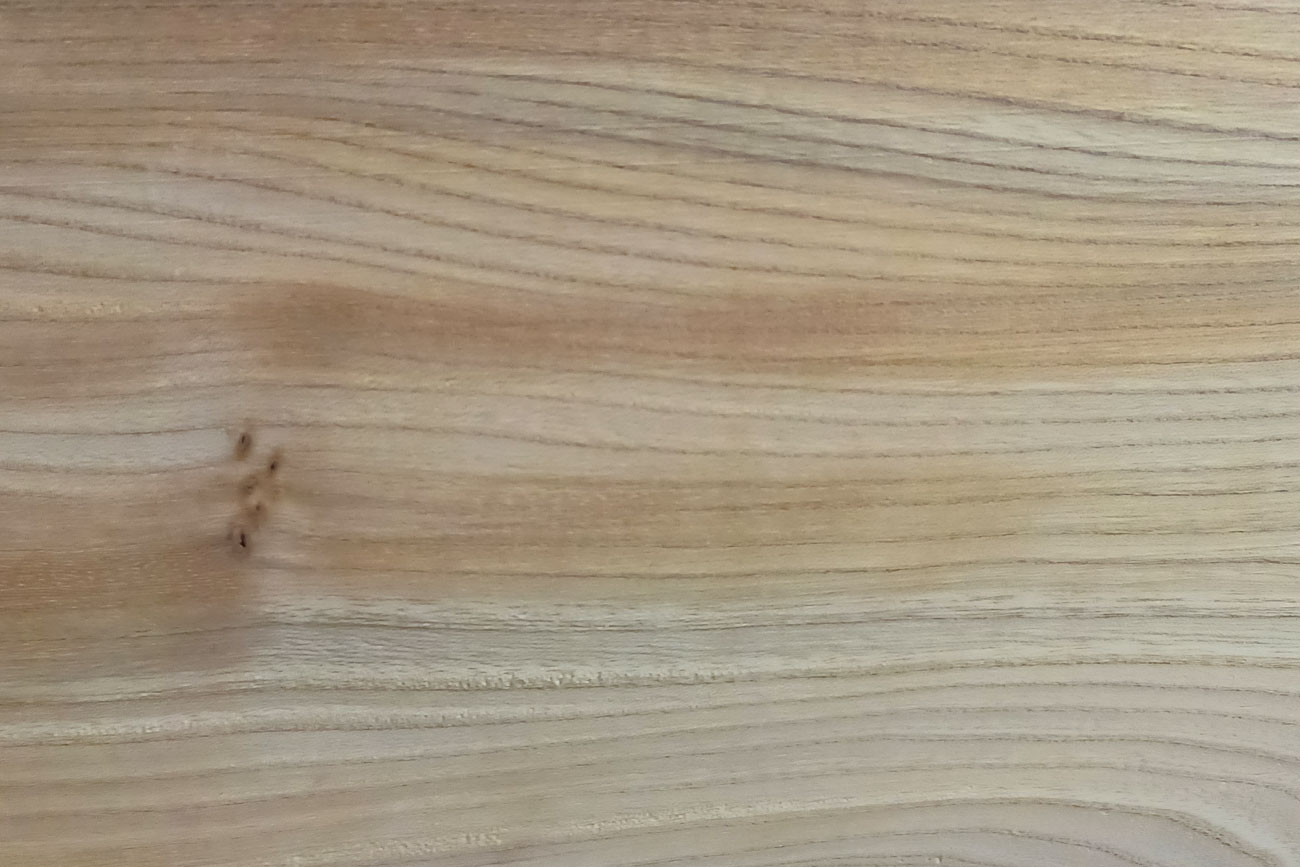 Holzkunde - Möbelbau - Rüster